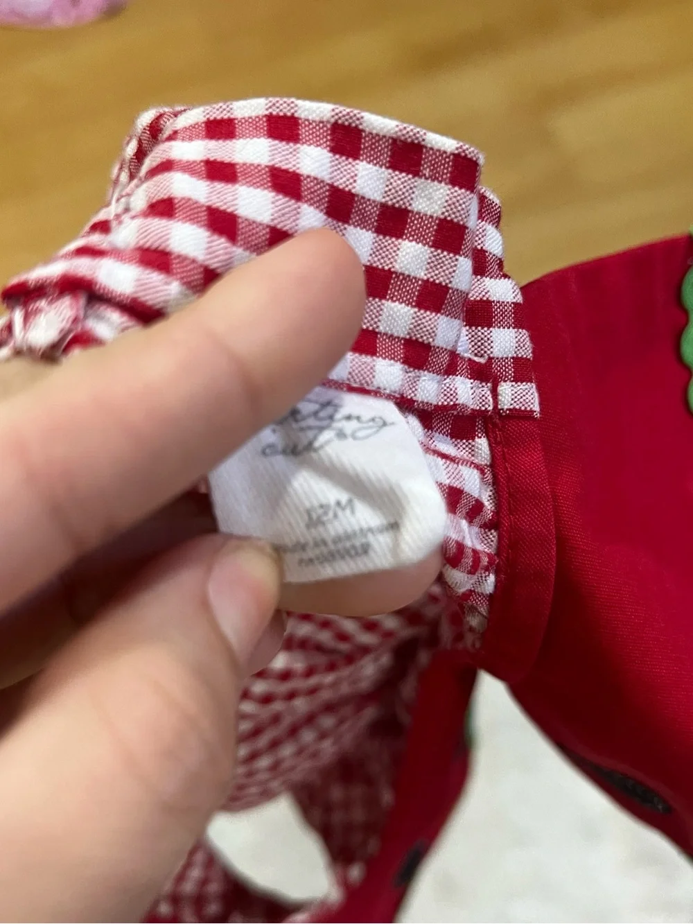 Gymboree Red and White Gingham Watermelon Dress